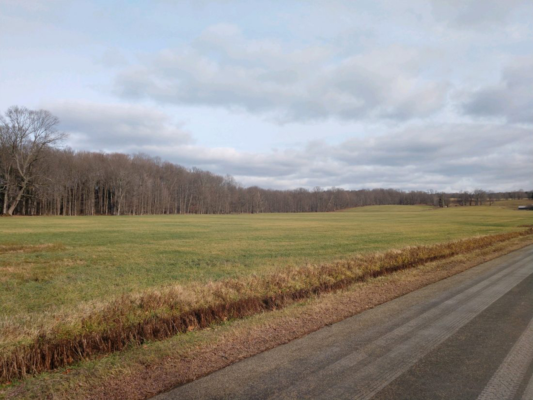 Dewittville Cell Tower Plan Gets OK From Town Board | News, Sports, Jobs - Vimarsana News